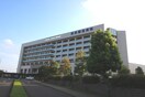 東京臨海病院(病院)まで981m ブルックサイド西葛西