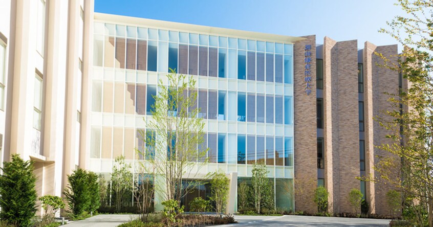 湘南鎌倉医療大学(大学/短大/専門学校)まで560m 富士見町TERRACE