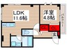 カメリア 1LDKの間取り