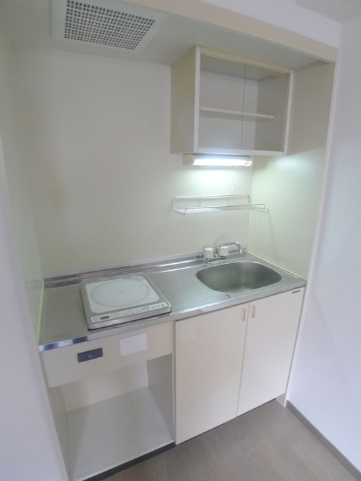 キッチン ﾗｲｵﾝｽﾞﾏﾝｼｮﾝ亀戸中央公園（302）