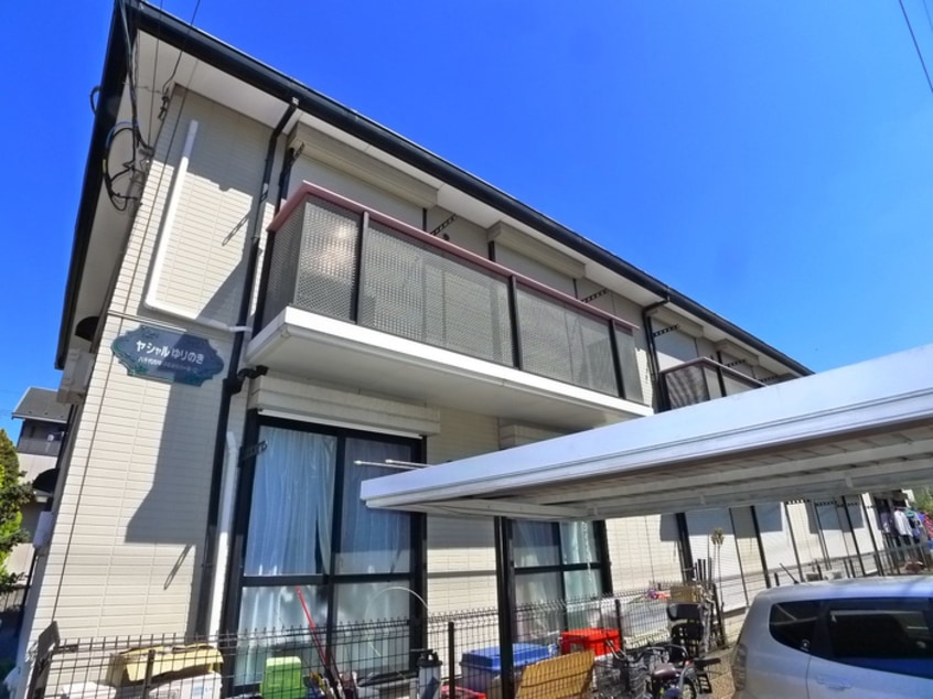 その他 ヤシャルゆりのき