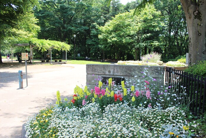 忠生公園自然観察センター(病院)まで660m ターナ木曽西Ｂ棟