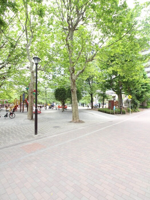 鉄砲洲児童公園(公園)まで240m グランカーサ銀座イースト