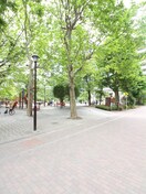 鉄砲洲児童公園(公園)まで240m グランカーサ銀座イースト