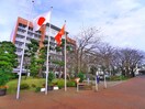 日本大学(大学/短大/専門学校)まで1100m みやけハウス