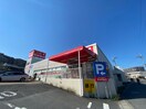 サンドラッグ 岡津店(ドラッグストア)まで280m 第２矢部町不動産ビル