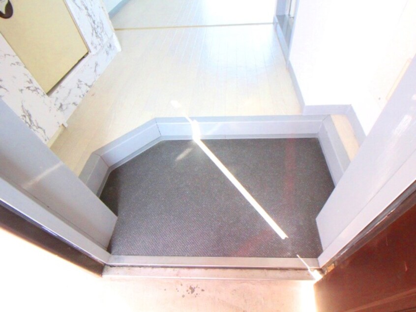 玄関 ドリームスペースマンション