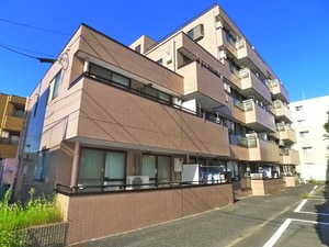 アルベール立花