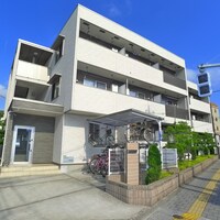 プラシードⅡ