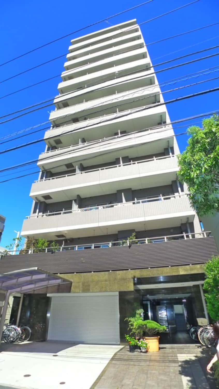 外観写真 トランスパレント