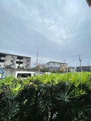 室内からの展望 アンジェロ・パラッツォ