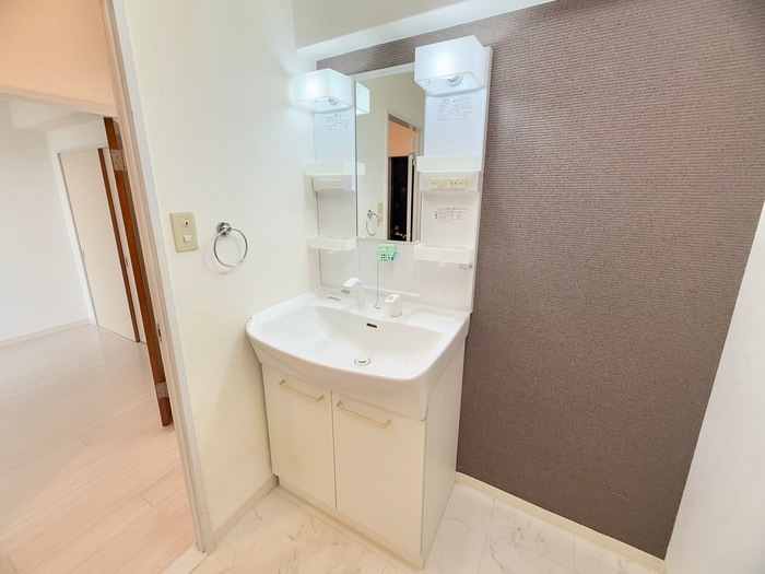 洗面 ハイツ与野