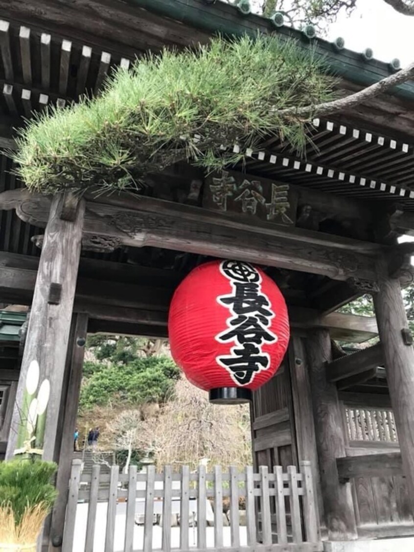 長谷寺(美術館/博物館)まで1100m ヴィラシ－サイド