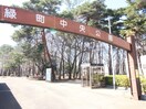 緑町中央公園(公園)まで120m 煉瓦館８１