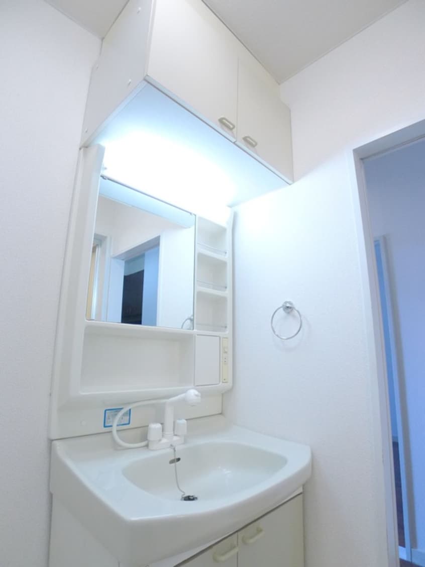 洗面 シャイネン市川