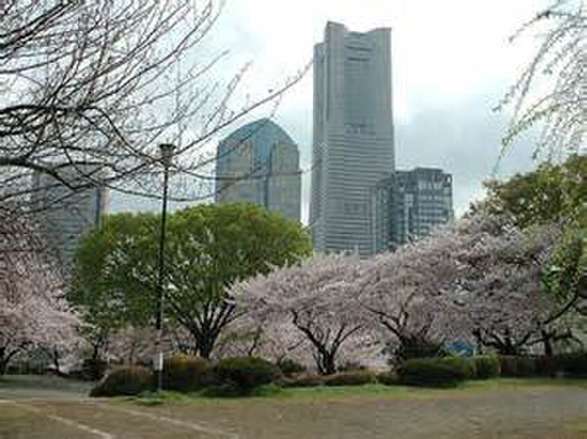 掃部山公園(公園)まで60m ジュネス花咲