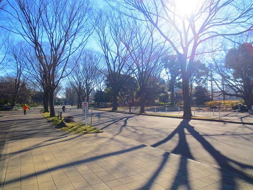 駒沢オリンピック公園(公園)まで912m ＣＡＳＡ池田