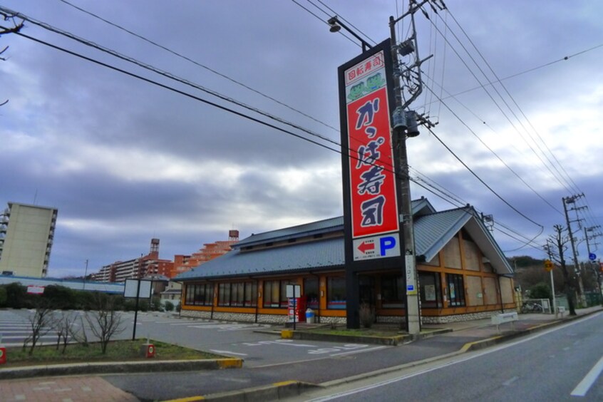 かっぱ寿司(その他飲食（ファミレスなど）)まで355m リブリ・メゾン・雅