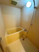 バス／シャワールーム等 フロント陽光