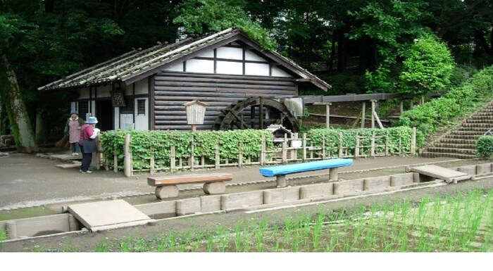 水車公園(公園)まで260m BeverlyHomes下赤塚