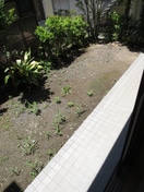 ベランダ・バルコニー カエデハウスＢ