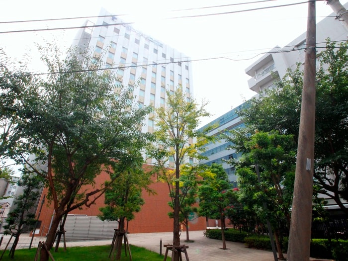 帝京大学溝口病院(病院)まで610m アクレ－ルよも