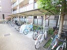 駐輪場 フォレストマンション
