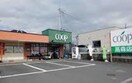 COOP(スーパー)まで380m ビューテラスⅡ