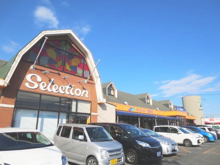 FOODS MARKET Selection(スーパー)まで206m ローズガーデン　Ｂ