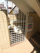 建物設備 ファミネスハイツ海老沢