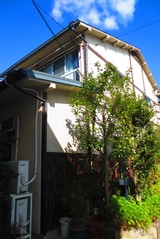 クレオンパテラ大森