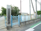 大沢喜多小学校(小学校)まで420m ﾌﾞﾙｰﾐﾝｸﾞﾒｿﾞﾝ越谷大里3号棟