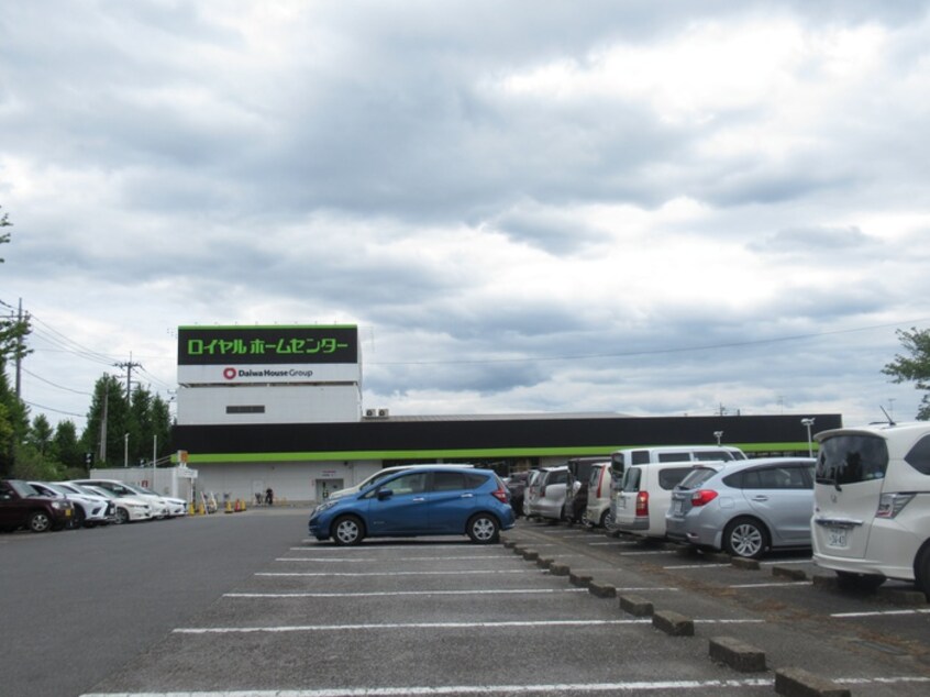 ロイヤルホームセンター(電気量販店/ホームセンター)まで1800m ユーコーポB