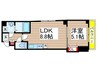 Ａｒｃｅｎｃｉｅｌ船橋 1LDKの間取り