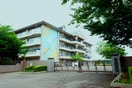 出羽小学校(小学校)まで550m サンパティーク