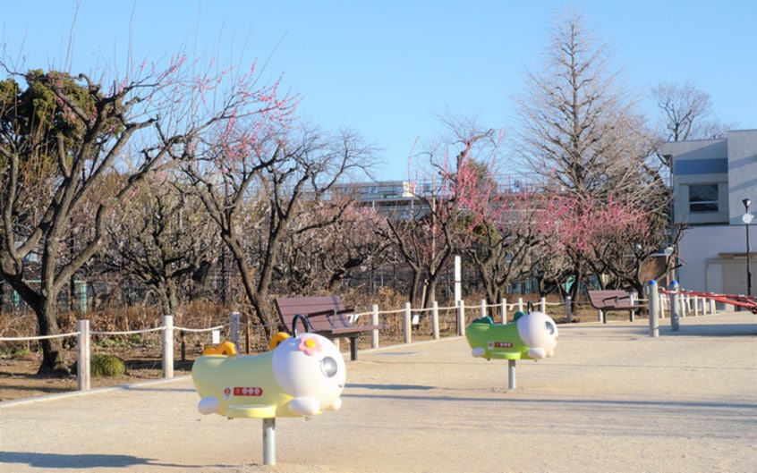 杉並区立松庵梅林公園(公園)まで400m ウッディ－吉祥寺