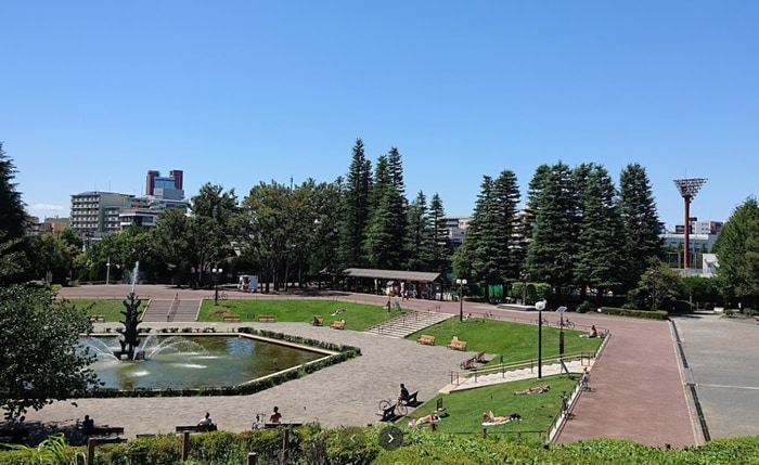 世田谷公園(公園)まで803m 太子堂ハイツ