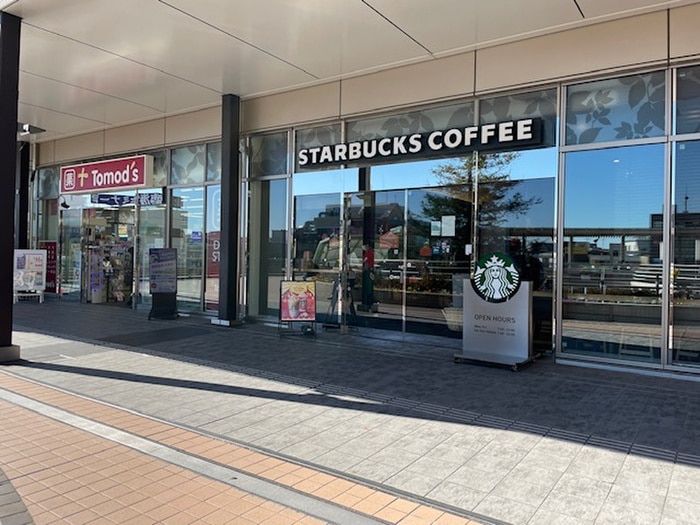 スターババックス(カフェ)まで560m ＣＬＡＤ