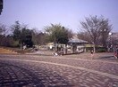 大泉中央公園(公園)まで560m サンハイツ市川