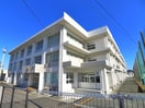 池上中学校(中学校/中等教育学校)まで498m グローリーハイツ
