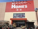 島忠ホームズ(電気量販店/ホームセンター)まで650m グランドール渋谷