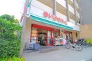 まいばすけっと　板橋桜川店(スーパー)まで464m パインパ－ル中野