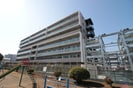 グランカーサ大和の外観