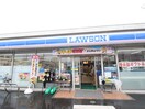 ローソン高津子母口東店(コンビニ)まで290m メゾン．ネクストエイト