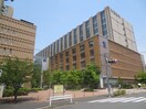 帝京大学２(大学/短大/専門学校)まで1200m パールハイツ