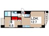 HY´s梅島Confort(502) 1LDKの間取り