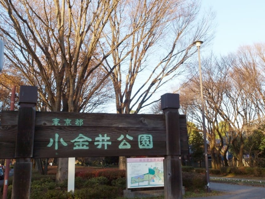 小金井公園(公園)まで1200m フラワ－コ－ポ２