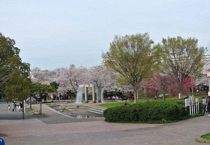 南河原公園(公園)まで250m La Douceur川崎Ⅱ