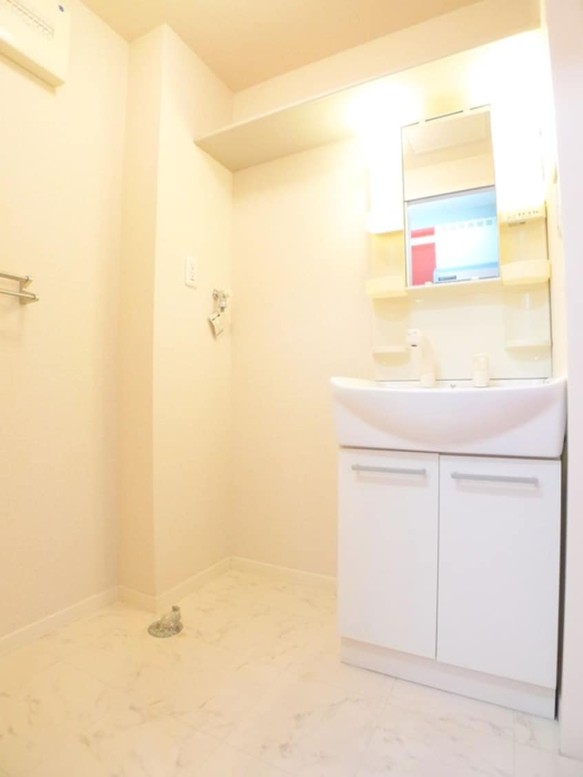 洗面 Lion de ecru(ﾘｵﾝﾄﾞｴｸﾘﾕ)