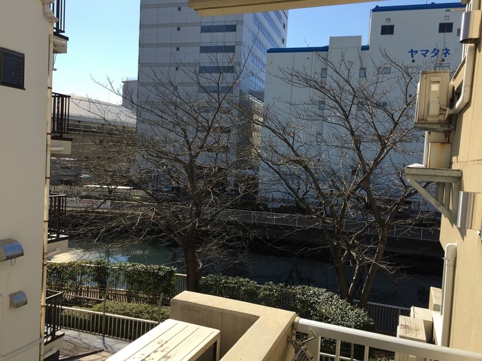 室内からの展望 ハウスミロンガ